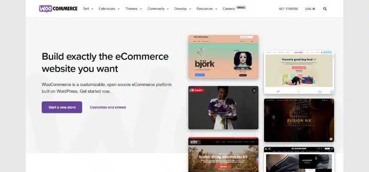 WooCommerce - Ne Tür E-Ticaret Yazılımları Tercih edebilirim?